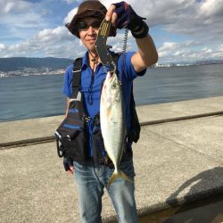 ハマチ、太刀魚